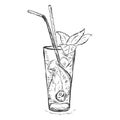 Vector Sketch Cocktail Mojito with Mint Leaves and Straws Royalty Free Stock Photo