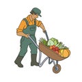 Vector sketch coloured illustration of farmer. Man with cart vegetables. Autumn gardening harvest. The drawn contour cartoon chara