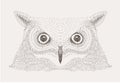 Vector sketch decorative owl illustration