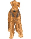 vector Sketch dog Airedale Terrier breed Royalty Free Stock Photo