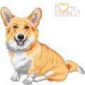 Vector sketch dog Pembroke Welsh corgi smiling Royalty Free Stock Photo