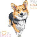 Vector sketch dog Pembroke Welsh corgi smiling Royalty Free Stock Photo