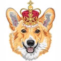 Vector sketch dog Pembroke Welsh corgi smiling in gold crown