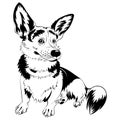 vector sketch dog Welsh corgi smiling Royalty Free Stock Photo