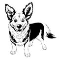 vector sketch dog Welsh corgi smiling Royalty Free Stock Photo