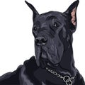 Vector sketch domestic dog black Great Dane breed Royalty Free Stock Photo