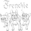 Vector sketch domestic dog French Bulldog breed Royalty Free Stock Photo