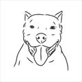 Vector sketch drawing pitbull barking pit bull terrier dog vector Royalty Free Stock Photo