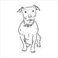 Vector sketch drawing pitbull barking pit bull terrier dog vector