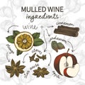 Vector sketch drawing set. Mulled wine ingredients. Mulled wine glass, orange slice, cotton, cardamom, star anise Royalty Free Stock Photo