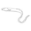 Vector Sketch Eel Illustration Royalty Free Stock Photo