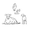 Vector sketch farm animal and birds. Young goat with udders cow spotted laying hens and chicks. Production of milk, eggs Royalty Free Stock Photo