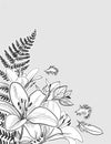 Vector sketch flower background card lily fern composition