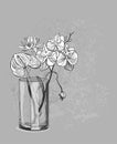 Vector sketch flower background card vase orchid anthurium lotus glass