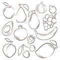 Vector sketch fruits and berries icons set. Decorative line art style collection hand drawn farm product for restaurant Royalty Free Stock Photo