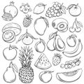 Vector sketch fruits Royalty Free Stock Photo