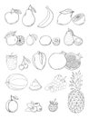 Vector sketch hand drawn fruits and berries icons set Royalty Free Stock Photo