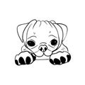 Vector sketch hand drawn silhouette of a sad pug puppy,doodle art with black lines Royalty Free Stock Photo