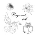 Vector sketch illustration with essential oil of bergamot