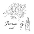 Vector sketch illustration with essential oil of jasmine