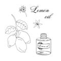 Vector sketch illustration with essential oil of lemon