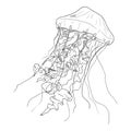 Vector Hand Drawn Sketch Jellyfish