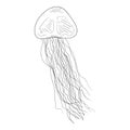 Vector Hand Drawn Sketch Jellyfish