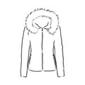 Vector Sketch Parka Jacket. Winter Outerwear. warm jacket, vector sketch illustration