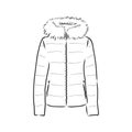 Vector Sketch Parka Jacket. Winter Outerwear. warm jacket, vector sketch illustration