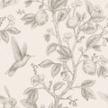 Vector sketch pattern with birds and flowers. Hummingbirds and flowers, retro style, nature backdrop. Vintage monochrome