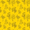 Vector sketch pattern of various spring and summer flowers and herbs such on the yellow background