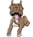 vector Sketch puppy Dogo Canario breed lying