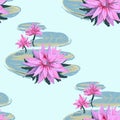 Vector sketch realistic seamless pattern of lotus flowers and leaves isolated on white background.. Design for natural Royalty Free Stock Photo