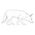 Vector Sketch Searching German Shepherd Dog