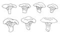 Vector set sketch chanterelle mushrooms black and white graphics, mushroom family, cantharellus, gourmet, vegetarian, autumn Royalty Free Stock Photo