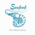 Vector sketch shrimp seafood logo