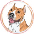 Vector sketch smiling dog American Staffordshire Terrier breed