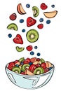 Vector sketch of summer fruit