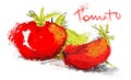 Vector sketch tomato illustration - slice tomatoes and salad