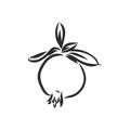 Vector sketch of tropical pomegranate fruit. Round outlines of ripe Garnet isolated on a white background, stock