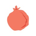 Vector sketch of tropical pomegranate fruit. Round outlines of ripe Garnet isolated on a white background, stock