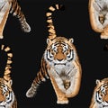 Bengal Tiger Vector Clipart, Seamless Animal print, Wildlife Print.