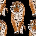 Vector sketch of walks bengal tiger.Seamless leo pattern.Animal print.Wildlife. - Vector.