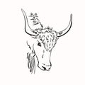 Vector sketch of yak head with big horns, Hand drawn
