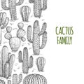 Vector sketched cactuses banner template with text