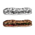 Vector Sketched Drawings, Long Sub Sandwich, Colored Illustration and Outline, Fast Food Illustration Isolated, Hand Drawn.