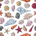 Vector sketching illustrations. Different types of seashells Royalty Free Stock Photo