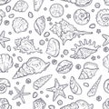 Vector sketching illustrations. Different types of seashells Royalty Free Stock Photo