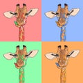 Vector sketching illustrations. Portrait of multicolored funny giraffe