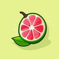 Vector of a sliced grapefruit on a vibrant green backdrop Royalty Free Stock Photo